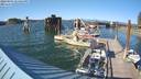 ./images/quadra/hbidock/20220801/hbidock20220801_174500M.jpg