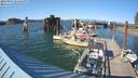 ./images/quadra/hbidock/20220801/hbidock20220801_175500M.jpg