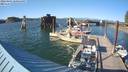 ./images/quadra/hbidock/20220801/hbidock20220801_180500M.jpg