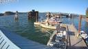 ./images/quadra/hbidock/20220801/hbidock20220801_182000M.jpg