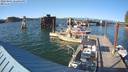 ./images/quadra/hbidock/20220801/hbidock20220801_182500M.jpg