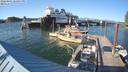 ./images/quadra/hbidock/20220801/hbidock20220801_184000M.jpg