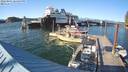 ./images/quadra/hbidock/20220801/hbidock20220801_184500M.jpg