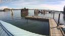 ./images/quadra/hbidock/20220802/hbidock20220802_092501M.jpg