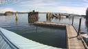 ./images/quadra/hbidock/20220802/hbidock20220802_093001M.jpg