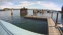 ./images/quadra/hbidock/20220802/hbidock20220802_100500M.jpg