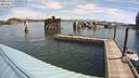 ./images/quadra/hbidock/20220802/hbidock20220802_102000M.jpg