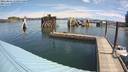./images/quadra/hbidock/20220802/hbidock20220802_112500M.jpg
