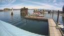./images/quadra/hbidock/20220802/hbidock20220802_114000M.jpg