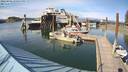 ./images/quadra/hbidock/20220802/hbidock20220802_170501M.jpg