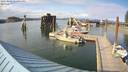 ./images/quadra/hbidock/20220802/hbidock20220802_174500M.jpg