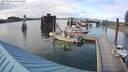 ./images/quadra/hbidock/20220802/hbidock20220802_180500M.jpg