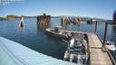 ./images/quadra/hbidock/20220805/hbidock20220805_112500M.jpg