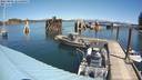 ./images/quadra/hbidock/20220805/hbidock20220805_124001M.jpg