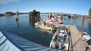 ./images/quadra/hbidock/20220805/hbidock20220805_171500M.jpg