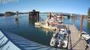 ./images/quadra/hbidock/20220805/hbidock20220805_172000M.jpg
