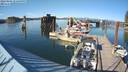 ./images/quadra/hbidock/20220805/hbidock20220805_173500M.jpg