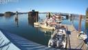 ./images/quadra/hbidock/20220805/hbidock20220805_174000M.jpg