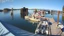 ./images/quadra/hbidock/20220805/hbidock20220805_174500M.jpg