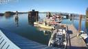 ./images/quadra/hbidock/20220805/hbidock20220805_180500M.jpg
