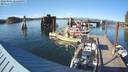 ./images/quadra/hbidock/20220805/hbidock20220805_182000M.jpg