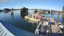 ./images/quadra/hbidock/20220805/hbidock20220805_183001M.jpg