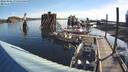 ./images/quadra/hbidock/20220806/hbidock20220806_080000M.jpg