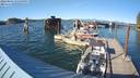 ./images/quadra/hbidock/20220806/hbidock20220806_180001M.jpg