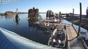 ./images/quadra/hbidock/20220807/hbidock20220807_080000M.jpg