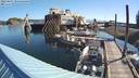 ./images/quadra/hbidock/20220807/hbidock20220807_085500M.jpg