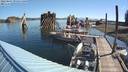 ./images/quadra/hbidock/20220807/hbidock20220807_092000M.jpg