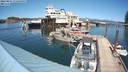 ./images/quadra/hbidock/20220807/hbidock20220807_151500M.jpg