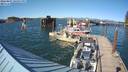 ./images/quadra/hbidock/20220807/hbidock20220807_170000M.jpg