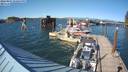 ./images/quadra/hbidock/20220807/hbidock20220807_170500M.jpg