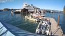 ./images/quadra/hbidock/20220807/hbidock20220807_172500M.jpg