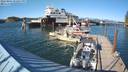 ./images/quadra/hbidock/20220807/hbidock20220807_173000M.jpg