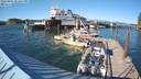 ./images/quadra/hbidock/20220807/hbidock20220807_173500M.jpg