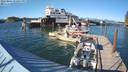 ./images/quadra/hbidock/20220807/hbidock20220807_174000M.jpg
