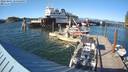 ./images/quadra/hbidock/20220807/hbidock20220807_180000M.jpg