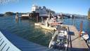 ./images/quadra/hbidock/20220807/hbidock20220807_180500M.jpg