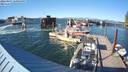 ./images/quadra/hbidock/20220807/hbidock20220807_181001M.jpg