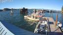 ./images/quadra/hbidock/20220807/hbidock20220807_182500M.jpg