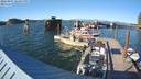 ./images/quadra/hbidock/20220807/hbidock20220807_183000M.jpg