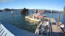 ./images/quadra/hbidock/20220807/hbidock20220807_183500M.jpg