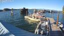 ./images/quadra/hbidock/20220807/hbidock20220807_185500M.jpg
