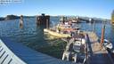 ./images/quadra/hbidock/20220807/hbidock20220807_190500M.jpg