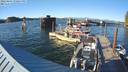 ./images/quadra/hbidock/20220807/hbidock20220807_191000M.jpg