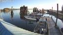 ./images/quadra/hbidock/20220809/hbidock20220809_074500M.jpg