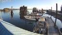 ./images/quadra/hbidock/20220809/hbidock20220809_075000M.jpg
