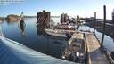 ./images/quadra/hbidock/20220809/hbidock20220809_080000M.jpg